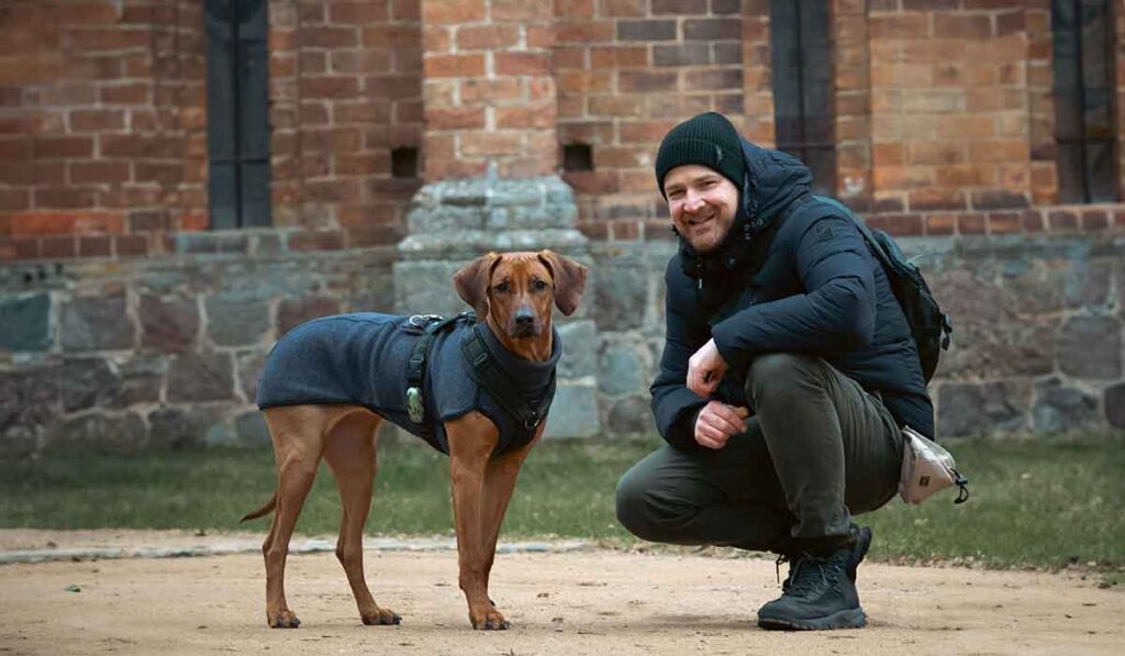 Ein Rhodesian Ridgeback im Alter von 7 Monate